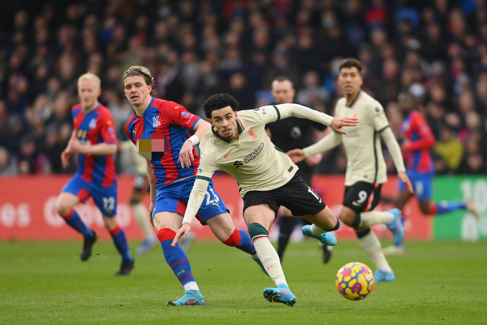 的中前場核 的中前場核